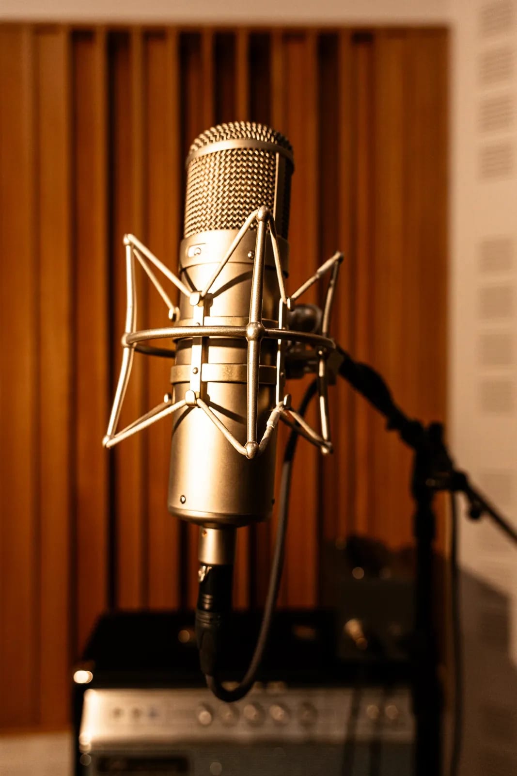 Vamisound VM47 FET large-diaphragm microphone